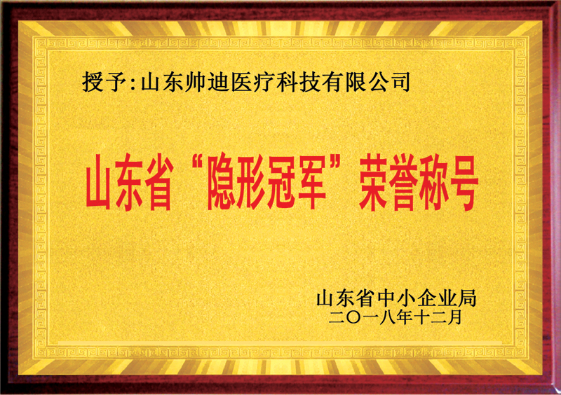 山東省隱形冠軍企業(yè)
